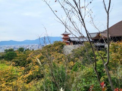 4 jours à Kyoto: entre tradition et&nbsp;modernité