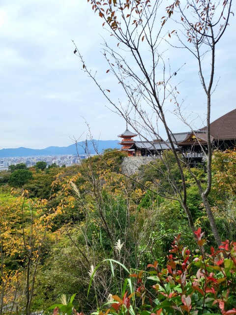 4 days in Kyoto: between tradition and&nbsp;modernity