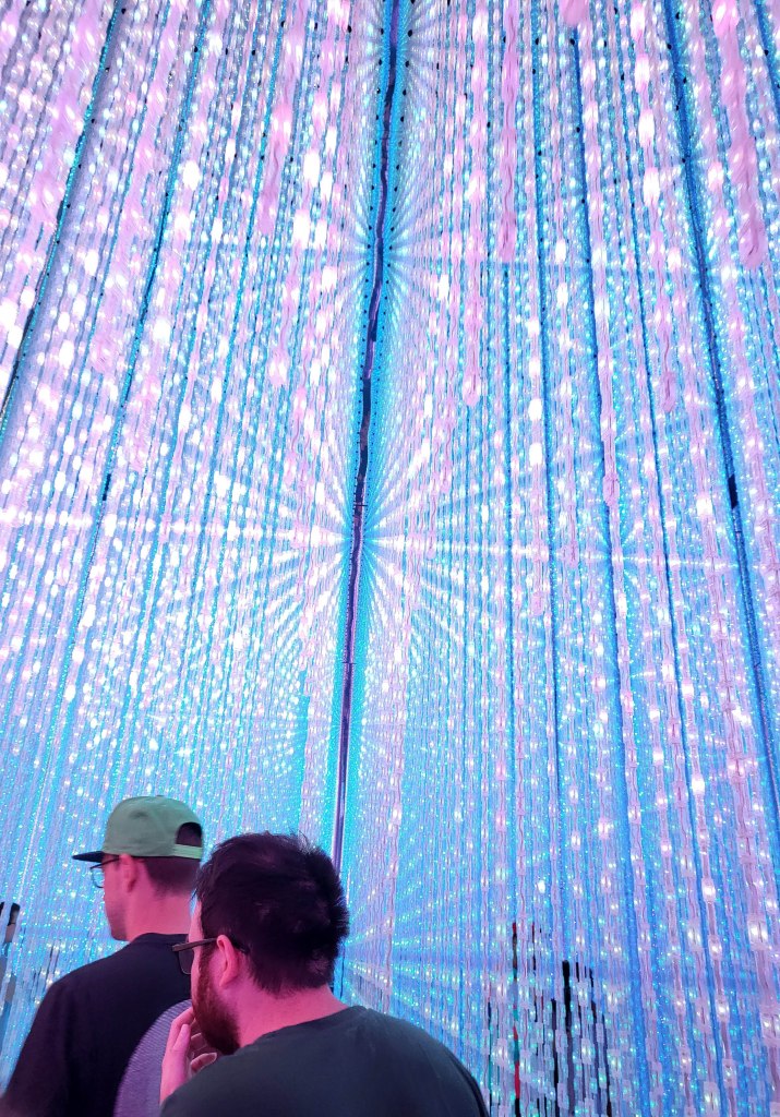 TeamLabs Planet - 24,20€ l'entrée