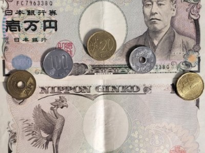 The budget for a pleasure trip to&nbsp;Japan