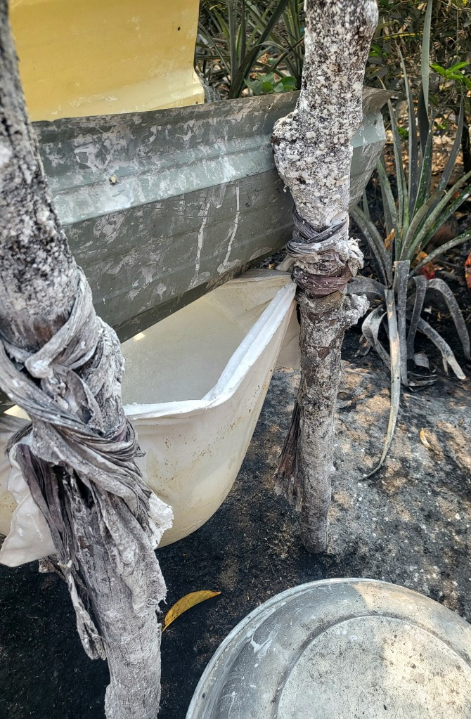 Riz en train d'être égoutté pour ensuite être utilisé pour la fabrication de feuilles de riz.
EN: rice being drained for then being used for rice paper production