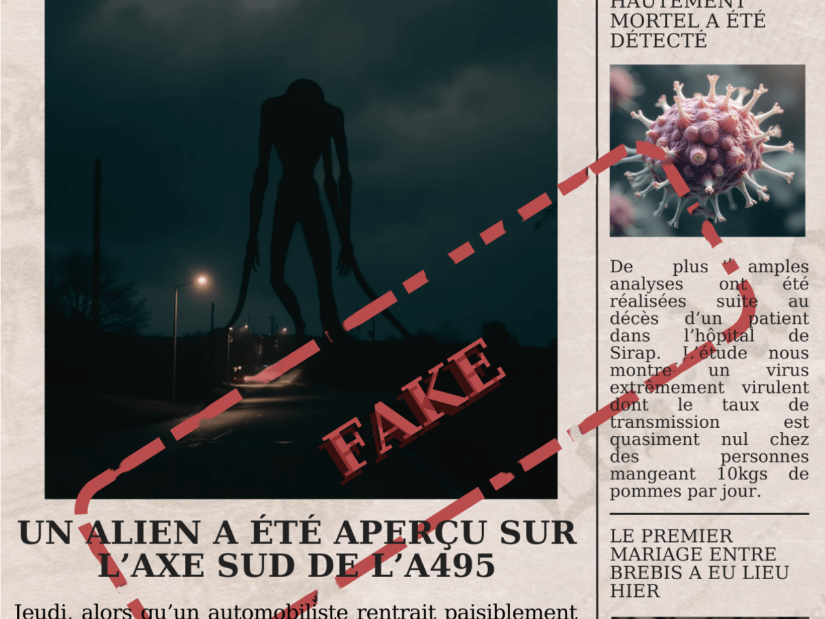 Comment s&rsquo;émanciper du spectacle médiatique  et de la fausse information&nbsp;?