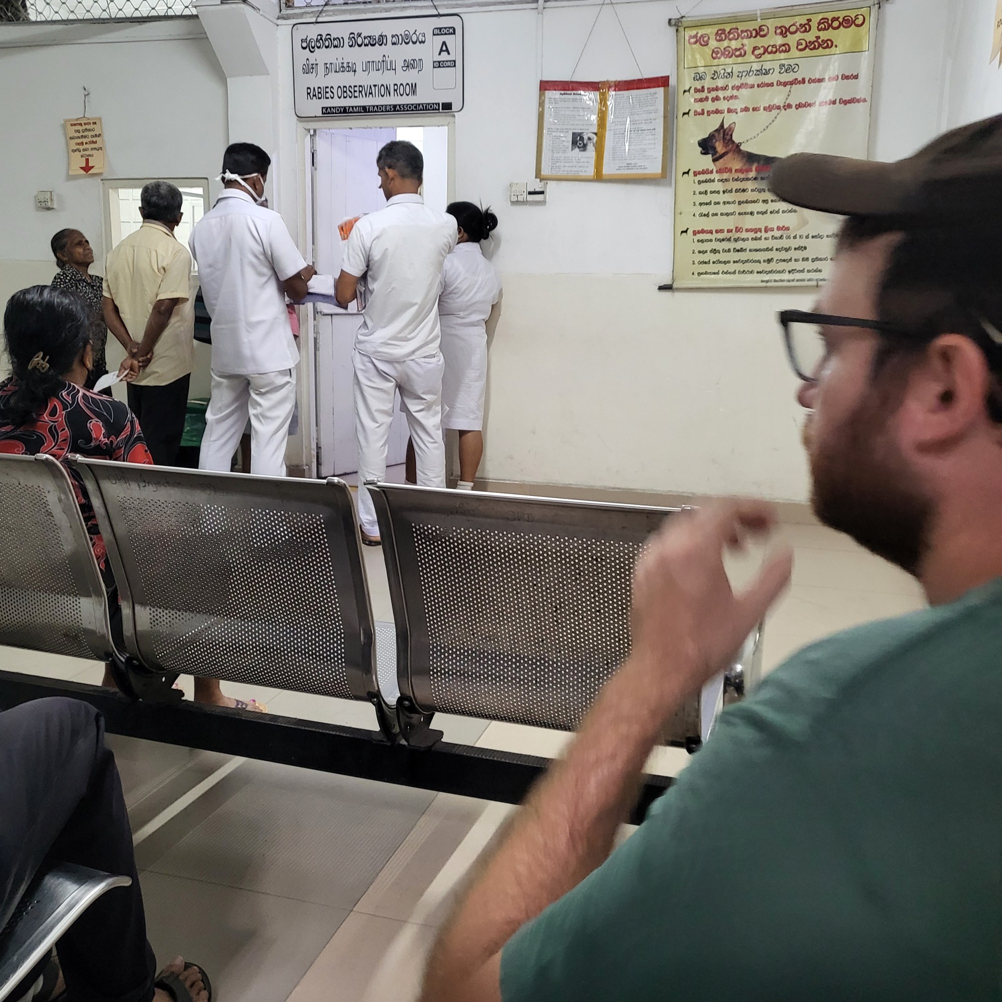 Au centre anti-rabbique de Gandhi (Sri Lanka)